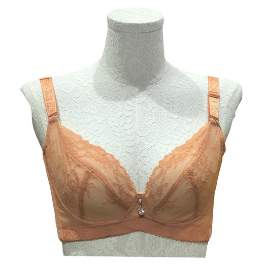 秒杀9元 皇家丽美调整型内衣聚拢收副乳薄厚款文胸-1-2杯 商品图8