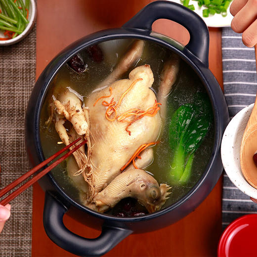 凯得宝K+dep日本砂锅炖锅 陶瓷煲汤锅煲仔饭 大小沙锅 明火耐高温汤煲深锅5-8人可用 6.5L 商品图4