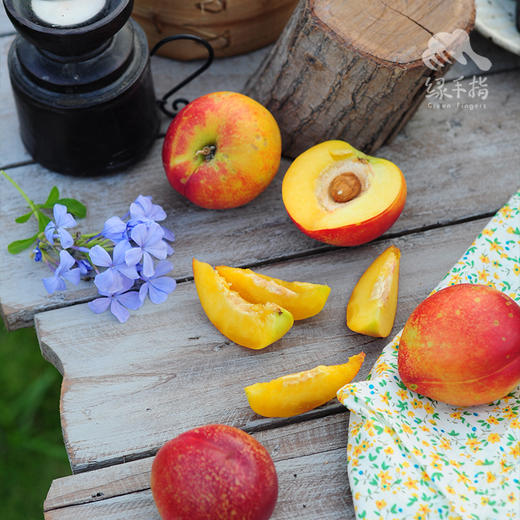 生态油桃 | 合作生产 *Eco nectarine | Partner Production 商品图4