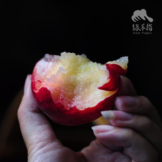有机红桃（预售，预计6月8日起开始发货） | 合作生产 *Organic red peach | Partner Production 商品图1