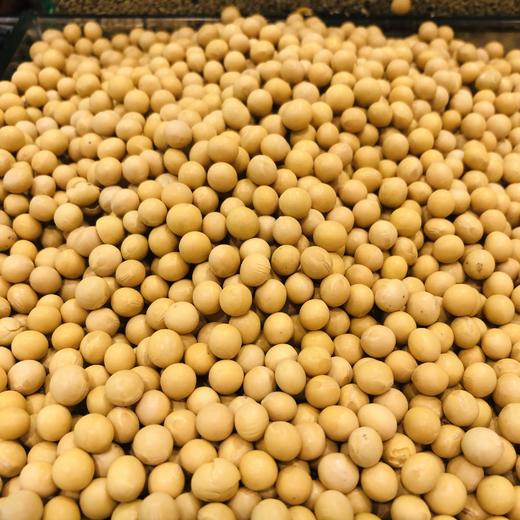 散500g±5g 瑞和泰黄豆  散称南北货 商品图0