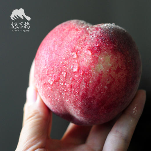 有机红桃（预售，预计6月8日起开始发货） | 合作生产 *Organic red peach | Partner Production 商品图2