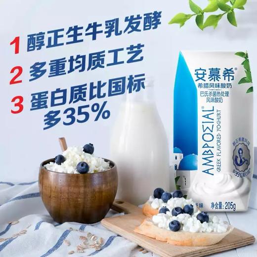 伊利安慕希原味酸奶205g浓醇口感营养早餐必备 商品图2