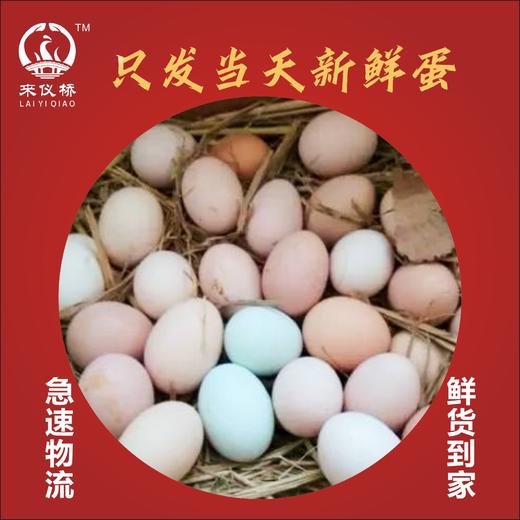 【武汉.黄陂】来仪桥土鸡蛋50枚 商品图2