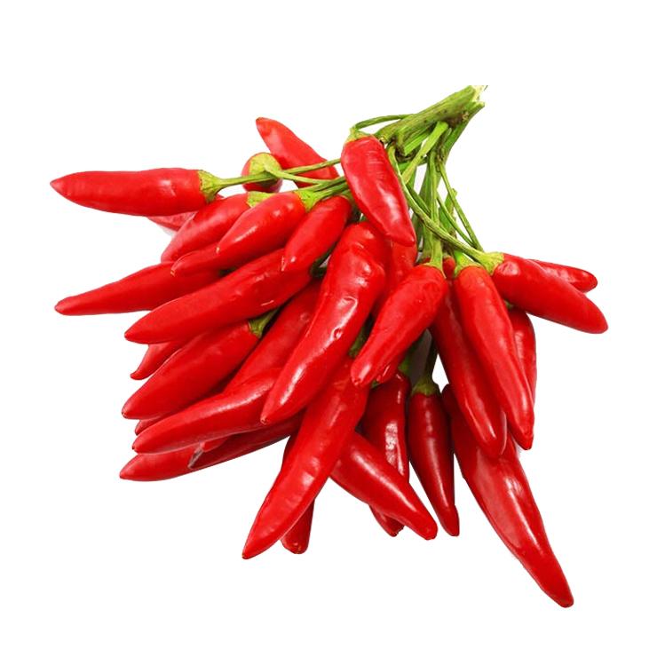 二荆条青椒(约250g/份)