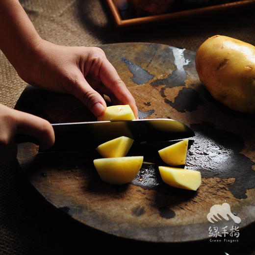 生态土豆 （荷兰7号）| 合作生产* Eco- potato | Coproduction 商品图2
