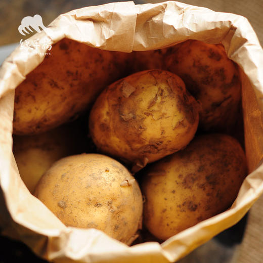 生态土豆 （荷兰7号）| 合作生产* Eco- potato | Coproduction 商品图3
