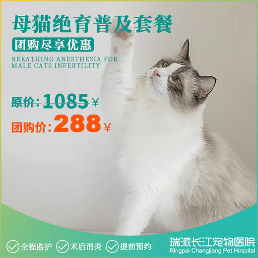 母猫绝育普通套餐（10KG以下）需提前1-3天预约 商品图0