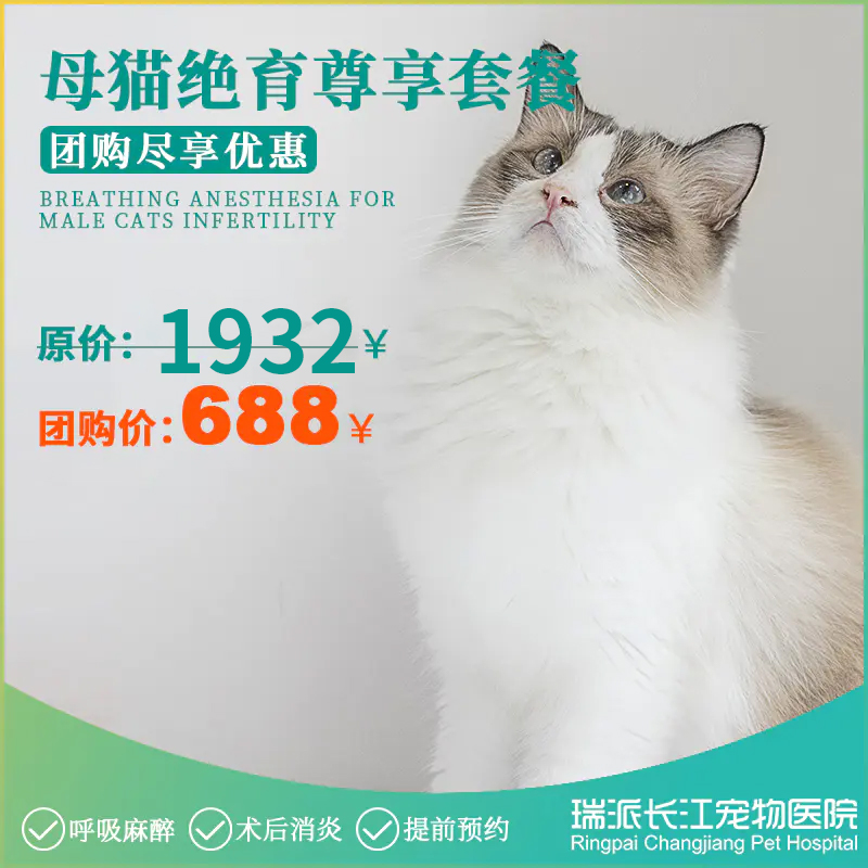 【到店服务】母猫绝育尊享套餐（10kg以下）