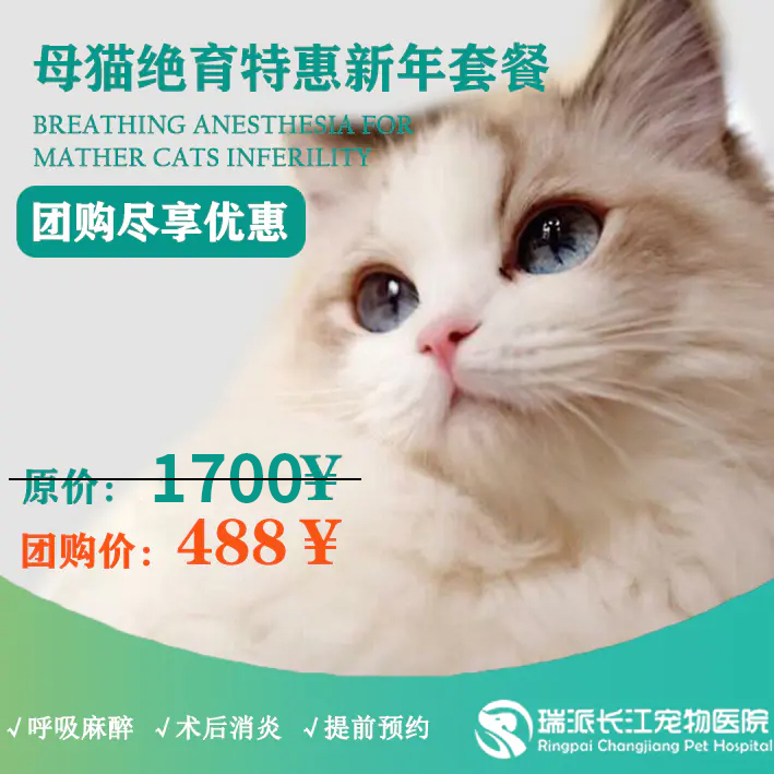 【到店服务】母猫绝育专业套餐（10KG以下）