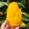 【芒果控福利款】正宗海南精选一级贵妃芒 精品大果 新鲜当季热带树上熟红金龙甜心芒果 商品缩略图2