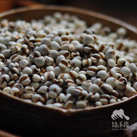 生态薏米 | 合作生产* Eco-seed of job's tears | Coproduction 商品图1