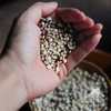 生态薏米 | 合作生产* Eco-seed of job's tears | Coproduction 商品缩略图2