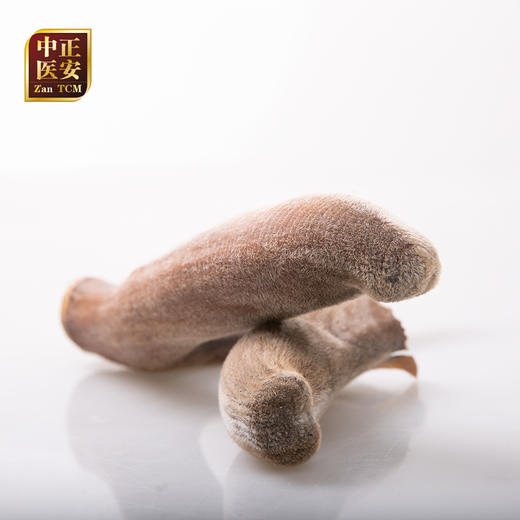 正安 梅花鹿头茬二杠小枝鹿茸 按单枝茸称重 活动价17元/克【可免费提供打粉服务 打粉损耗约为整根克重的5%-7%】  商品图3