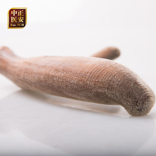 正安 梅花鹿头茬二杠小枝鹿茸 按单枝茸称重 活动价17元/克【可免费提供打粉服务 打粉损耗约为整根克重的5%-7%】  商品图6