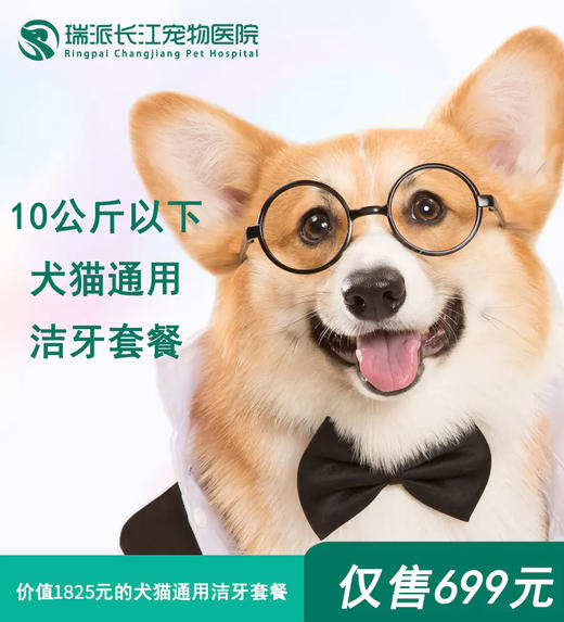 【洁牙套餐】犬猫通用洁牙套餐10kg以下 商品图0