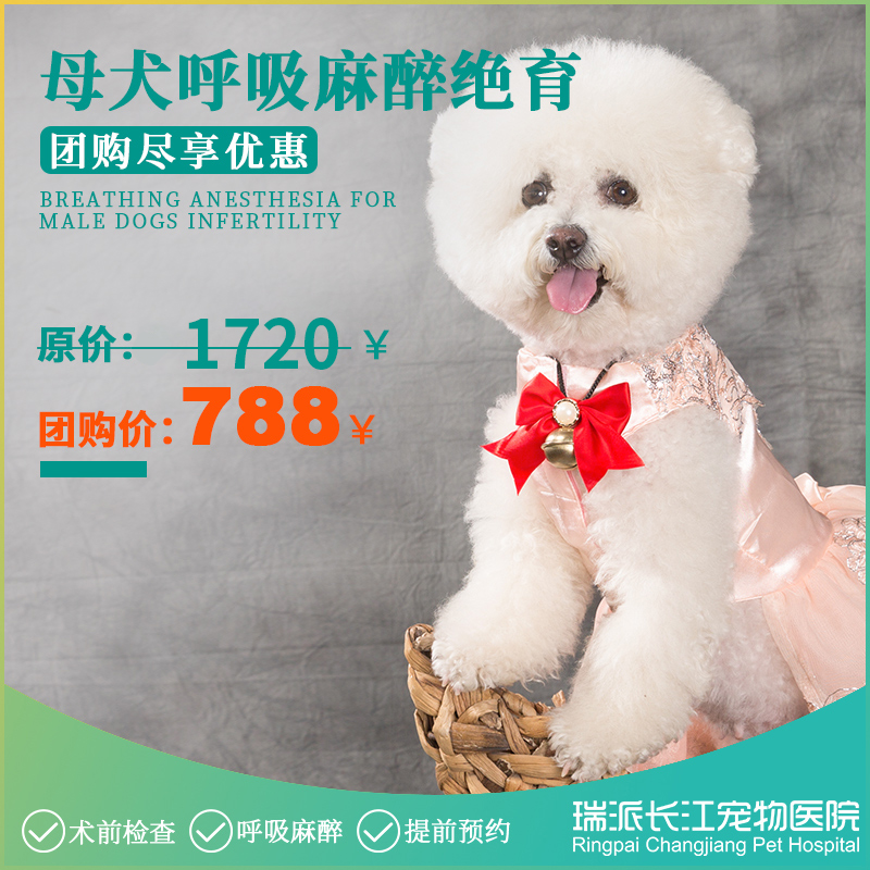 【到店服务】母犬绝育套餐