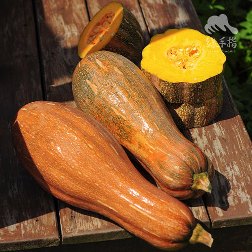 生态蜜本南瓜（切块） | 绿家自产*Eco-pumpkin | Self-production 商品图1