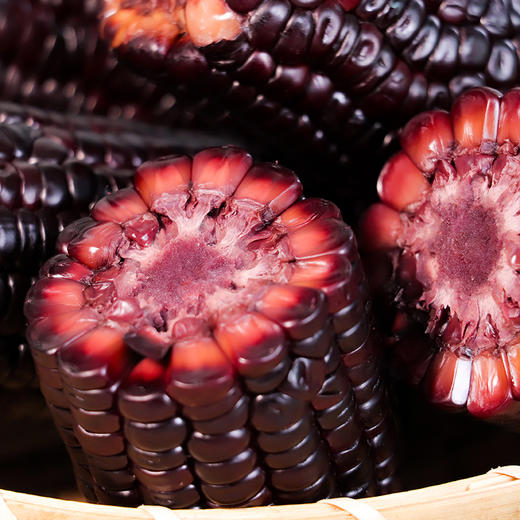 【好物推荐】山西黑珍珠糯玉米买8送2根（200g/根） 商品图1