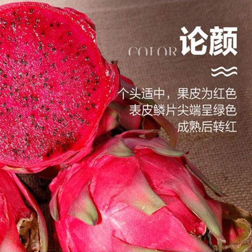 【圳品】广西隆安优质红心火龙果5斤（中大果）新鲜采摘【定点扶贫促销】 商品图3