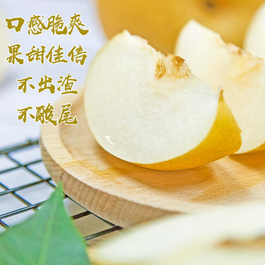 【连州】水晶梨4.5斤/9斤（脆甜多汁，包装精美）「助力百千万工程」 商品图1
