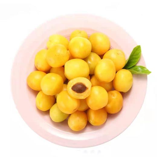 新疆吊干杏一份约500g 商品图0