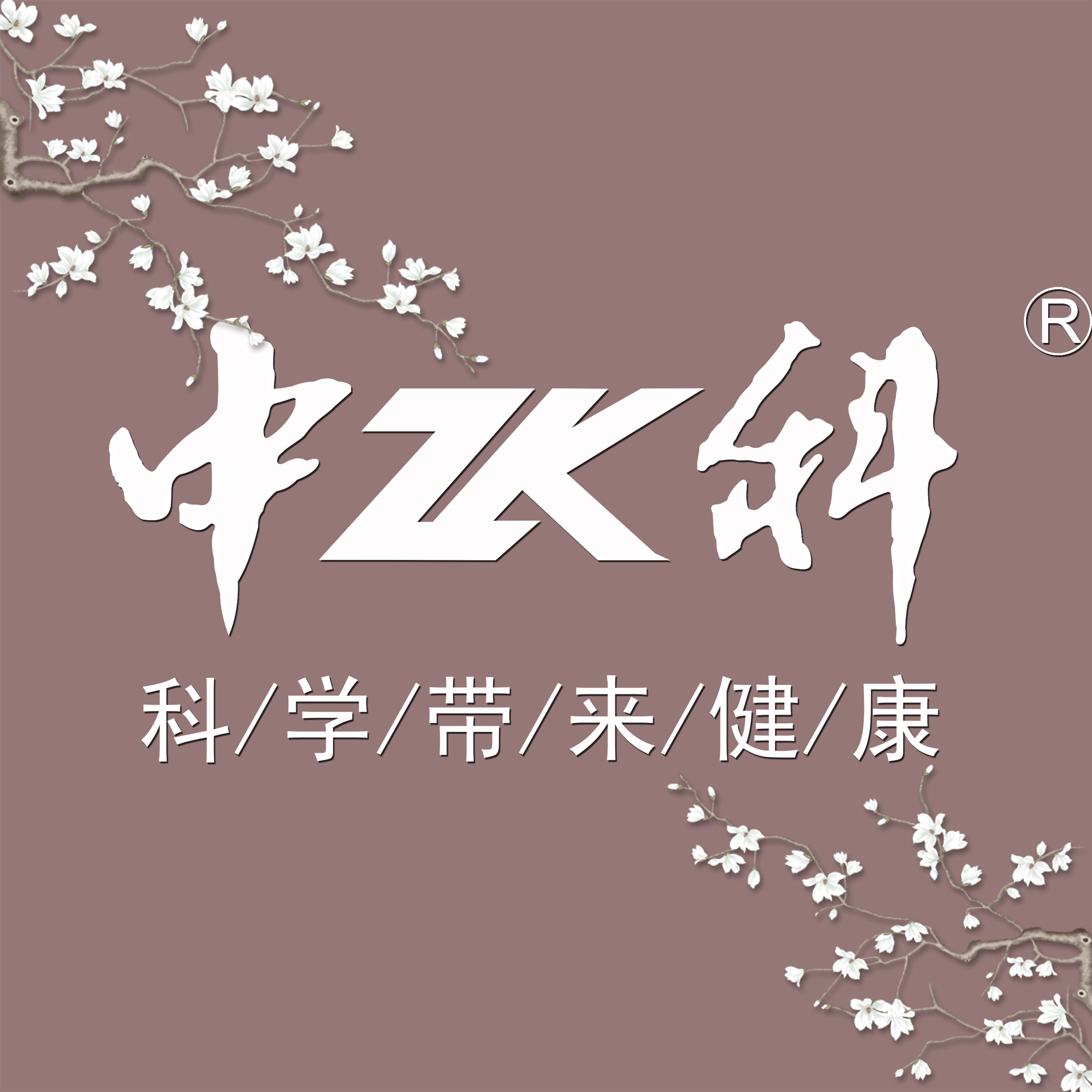 中科灵芝旗舰店241104250528