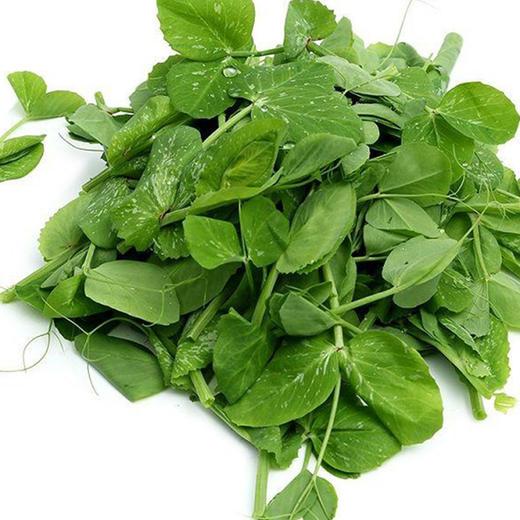 豌豆尖 400g 商品图0