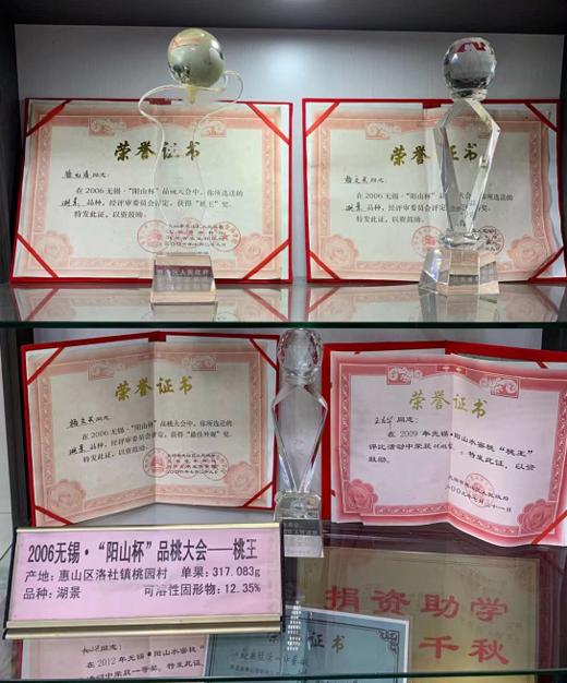 无蜜桃不夏天，桐鲜生*阳山微生物菌肥水蜜桃，唯蜜的秘密，第七季 商品图7