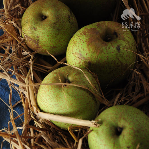 生态青花梨（圆通快递）|合作生产 *Ecological blue and white pear | Partner Production 商品图3