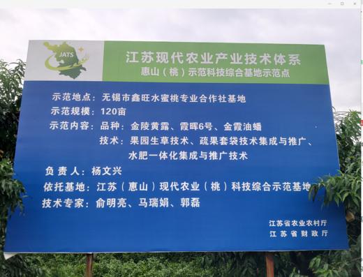 无蜜桃不夏天，桐鲜生*阳山微生物菌肥水蜜桃，唯蜜的秘密，第七季 商品图5