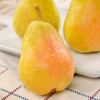 【山东·烟台】特色太婆梨  香蕉梨 软糯香甜精品啤梨香梨 商品缩略图5