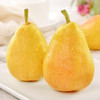 【山东·烟台】特色太婆梨  香蕉梨 软糯香甜精品啤梨香梨 商品缩略图2