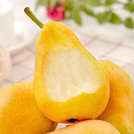 【山东·烟台】特色太婆梨  香蕉梨 软糯香甜精品啤梨香梨 商品图1