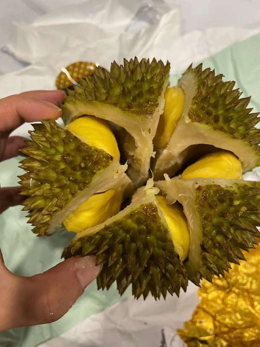 马来西亚“液氮”D197猫山王Musang King榴莲——，口感细腻 商品图9