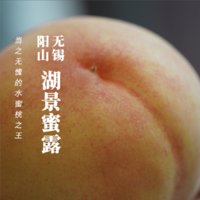 【湖景8两以上桃王】一大口定制｜无锡阳山 湖景蜜露水蜜桃