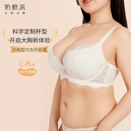 【买三免一】奶糖派大杯文胸告白2.0分胸型聚拢防下垂调整型蕾丝大胸内衣胸罩女 商品图1