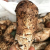 【云南野生新鲜松茸】香格里拉野生松茸/出口级精品实惠优选级各种规格专业包装顺丰空运包邮 商品缩略图1