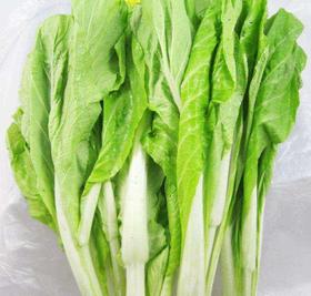 202秋香菜苔约500克