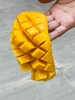 奶香浓郁肉厚香甜得黄玉芒果(攀岩2号/攀育2号）中通包邮 商品缩略图3