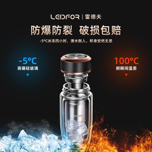 雷德夫双层玻璃杯男士 保温高档商务杯子办公室 水杯透明车载茶杯 滤茶器 防烫手 水杯 商品图6