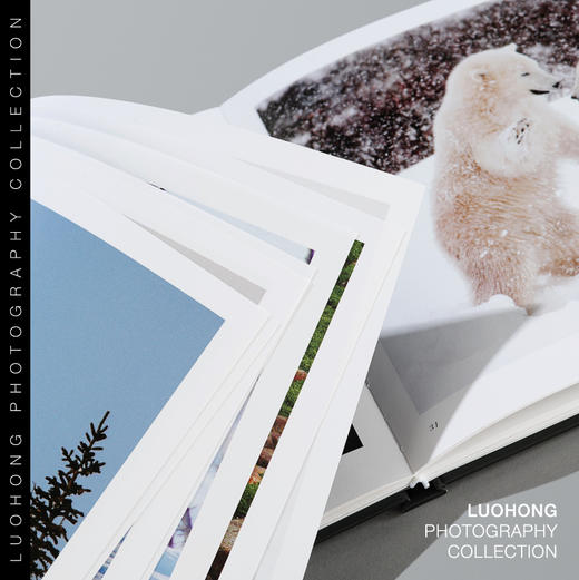 罗红摄影作品-北极：冬日王国 商品图2