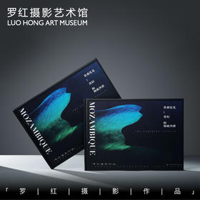 罗红摄影作品-莫桑比克：奇幻的海底沙漠