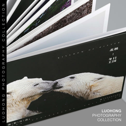 罗红摄影作品-北极：冬日王国 商品图1