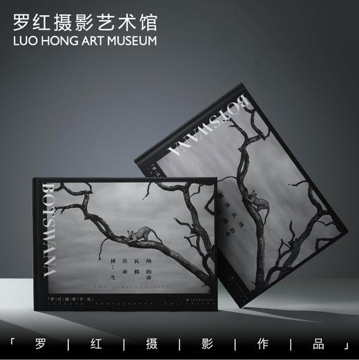罗红摄影作品-博茨瓦纳：欢腾的生命 商品图0