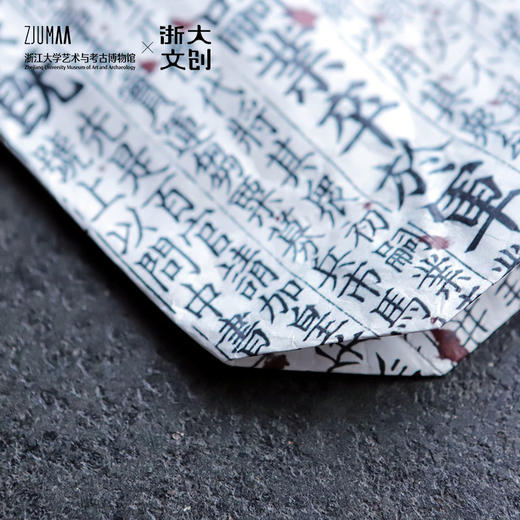 【浙大文创】册府千华资治通鉴纲目杜邦纸包 商品图5