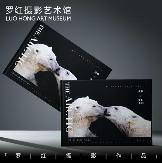 罗红摄影作品-北极：冬日王国 商品图0