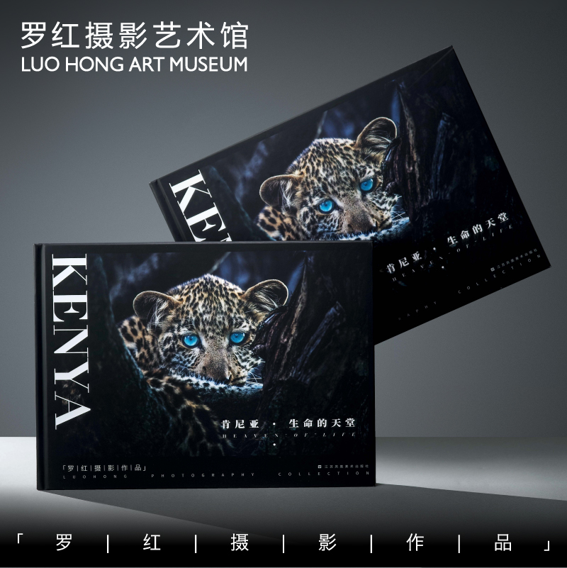 罗红摄影作品-肯尼亚：生命的天堂