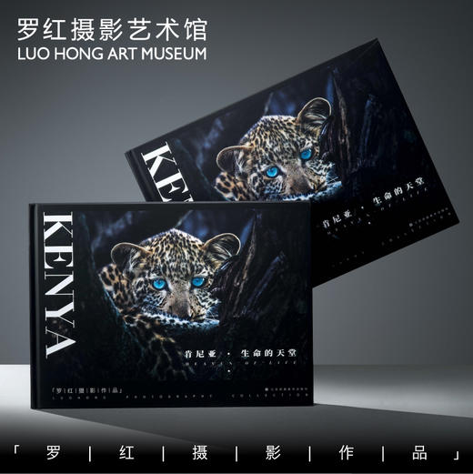 罗红摄影作品-肯尼亚：生命的天堂 商品图0
