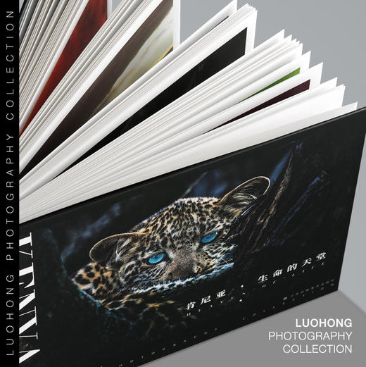 罗红摄影作品-肯尼亚：生命的天堂 商品图1